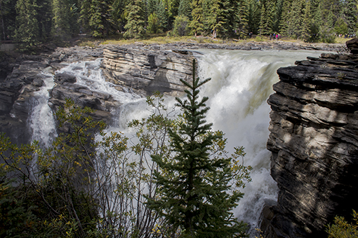 athabasca falls