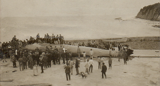 Foto 1921 Ballenera del Estrecho (Algeciras, Cádiz) Te cuento de viajes CVT