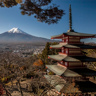 vistas del monte fuji con pagoda chureito en noviembre