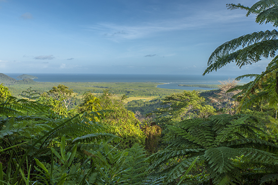Miradores Daintre forest Queensland