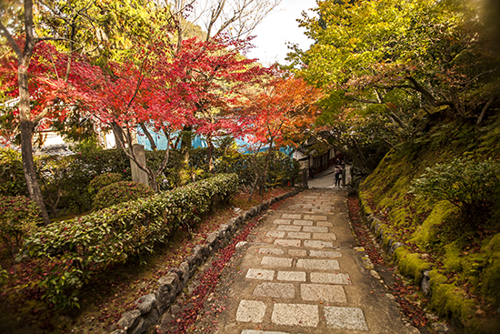 kioto en otoño 